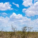 NAM OSHA Etosha 2016NOV27 Okaukuejo 002 : 2016, 2016 - African Adventures, Africa, Date, Etosha National Park, Month, Namibia, November, Okaukuejo, Oshana, Places, Southern, Trips, Year